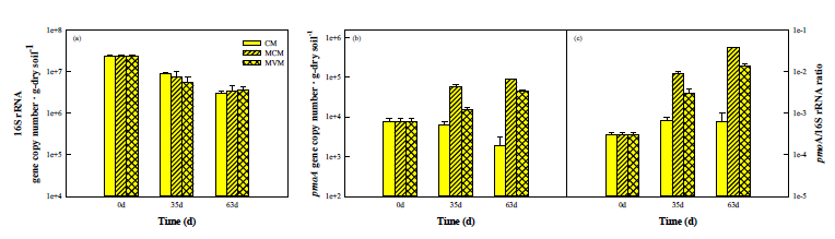 Methylocystis sp. JHTF4 및 Methyloversatilis sp. JHM8에 의한 옥수수 식재 토양 내 기능성 유전자 정량 분석 결과. (a) 16S rRNA 유전자. (b) pmoA 유전자. (c) pmoA/16S 유전자 비율