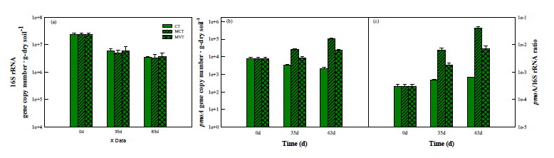 Methylocystis sp. JHTF4 및 Methyloversatilis sp. JHM8에 의한 톨페스큐 식재 토양 내 기능성 유전자 정량 분석 결과. (a) 16S rRNA 유전자. (b) pmoA 유전자. (c) pmoA/16S 유전자 비율