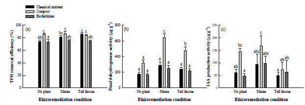 95일차 Rhizoremediation 효율 비교, (a) TPH 제거율, (b) 탈수소효소 활성, (c) IAA 생성능