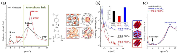 관능기의 개수 및 위치가 정밀 제어된 이온성 고분자 (a) 상이한 이온 응집 거동을 보이는 인산화된 호모폴리머 (b) 상이한 나노 구조를 형성하는 인산화된 블록공중합체 및 (c) 이온 응집거동