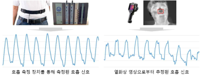 접촉식 호흡 측정 장치와 열화상 원격 호흡 측정 방법의 호흡 신호 비교