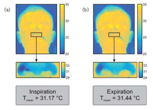 호흡시 코 주변의 온도 변화 (a) 들숨 (b) 날숨