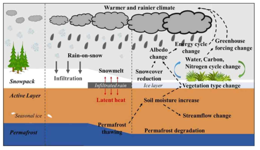 극지방 툰드라 지역 기후변화(기온상승과 강우증가)에 따른 피드백 도식도
