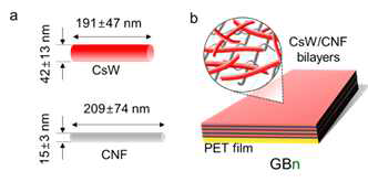 (왼쪽 a) CsW 및 CNF의 대표 치수. (오른 쪽 b) PET (GBn) 필름에 (CsW / CNF) n LbL 코팅을 도시화하였다