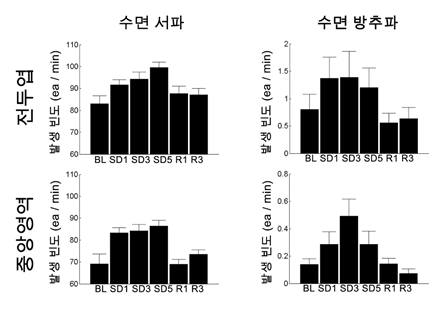 5일동안 만성 수면 박탈을 한 경우 수면 서파는 증가한 경향성이 유지되나, 수면 방추파의 경우 만성 수면박탈 시 발생 영역에 따라 감소하는 경향을 보임