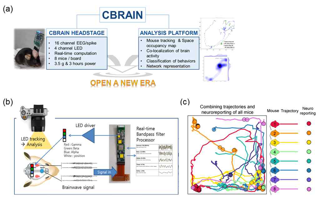 (b) 실시간 뇌신호 분석 및 LED 표시 기술. 뇌파신호를 감지하고 내장된 프로세서로 실시 간 주파수별 분석을 하며 주파수 분석결과 각 밴드별로 활동량을 LED RGB로 신호로 실시간 표시하고 다수개체의 뇌파 활동 상황을 카메라로 트래킹하며 분석함. (C) CBRAIN system을 이용한 각 개체의 트래킹 예시