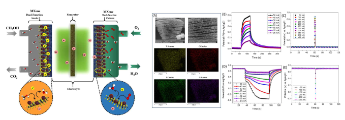 MXene SCHPC 장치의 구조와 동작 개략도(좌) 및 특성(A) SCHPC에 사용된 MXene 시트의 형태 및 원소 지도 (B-E) (B) 인가된 정전류 및 (C) 펄스 전류가 다른 MXene 기반 전기촉매의 MOR 프로파일. 인가된 펄스 전류에 따라 전위 값이 달라지는데, 이는 MXene 시트에서 자체 충전 특성을 나타냄, (D, E)에서 볼 수 있듯이 베어 촉매와 비교하여 MXene 전기 촉매의 ORR 프로파일에서 유사한 변화가 발생하였음. Ti3C2 MXene 시트의 자체 충전 특성은 전극 수준에서 MOR 및 ORR 프로세스 동안 생성된 과도한 전하의 저장으로 인해 발생