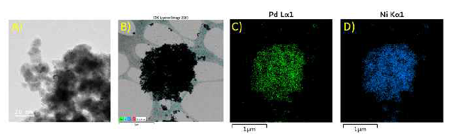 (A) 20 nm 배율에서 PdNi 합금의 HR-TEM 이미지. (B) PdNi 합금의 HR-TEM EDS 스펙트럼. (C) Pd의 원소 매핑 분석, (D) Ni의 원소 매핑 분석