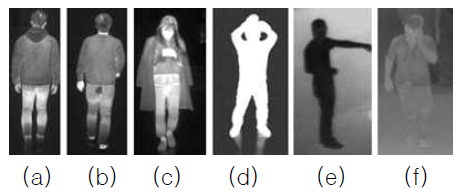 취득된 열영상의 예시. (a)‑(c)는 높은 spatial texture 정보를 가진 예시; (f)는 객체와 배경이 비슷한 픽셀 값을 가진 예시