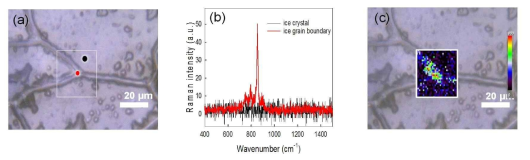 동결 후 (a) 얼음결정과 준액체층의 생성, (b) 6가 크롬 이온의 라만 방출 강도, (c) 얼음결정과 준액체층에서의 6가 크롬 이온의 상대적 농도