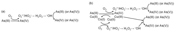 (a) 구리 이온이 없는 조건과 (b) 구리 이온이 있는 조건에서의 광화학적 비소 산화 메커니즘