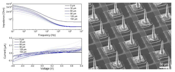 고해상도 전극 어레이의 전기적 특성 (좌) 및 망막 자극 전극에 분산된 3차원 전극의 SEM 이미지 (우)