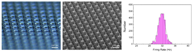 제작한 photodetector 어레이 OM image (좌), 망막 자극 전극 어레이 SEM 이미지(가운데) 및 각 어레이에서 발생하는 전류에 의한 Firing rate (우)