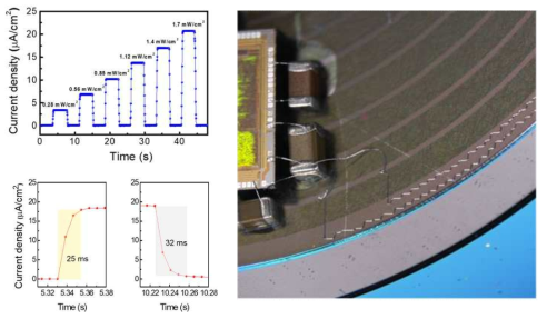 빛의 세기에 따른 전류밀도 변화 (좌측 상단) 및 실시간 측정 (좌측 하단), 3차원 고신축성 배선전극 (우)