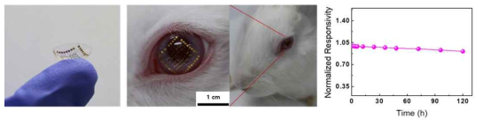 Photodetector 디바이스가 삽입된 소프트 콘택트렌즈 디바이스의 이미지 (좌) 및 안정성 (우)