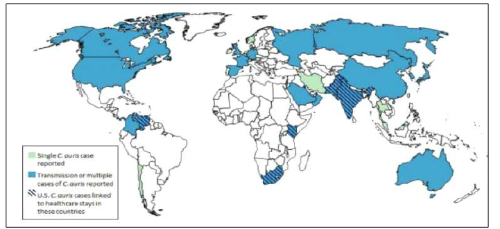 칸디다 오리스의 감염사례 발생국가 출처: 미국 질병통제센터