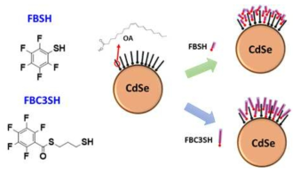 기존의 상용 불소화 기능성 소재 FBSH와 신규 합성 기능성 소재 FBC3SH의 CdSe 양자점 표면개질 모식도