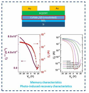 신규 개발한 광경화성 메모리층과 이에 기반한 트랜지스터 메모리 특성 평가 결과