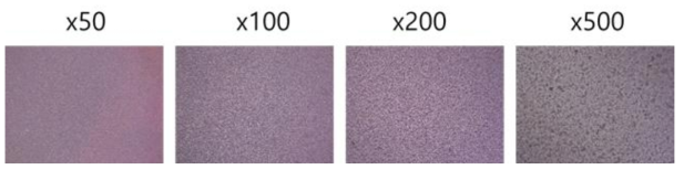 이온젤 표면에 증착된 타이타늄/금 (Ti/Au = 10 nm/50 nm) 전극의 광학현미경 사진