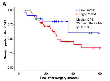 Kaplan–Meier curves for cumulative disease-free survival according to Romo1