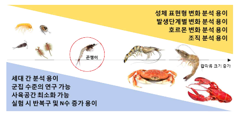 갑각류 연구에 있어 종의 크기에 따른 연구의 장단점 분석