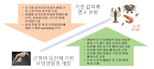 갑각류 보완 해산곤쟁이 모델화를 위한 모식도