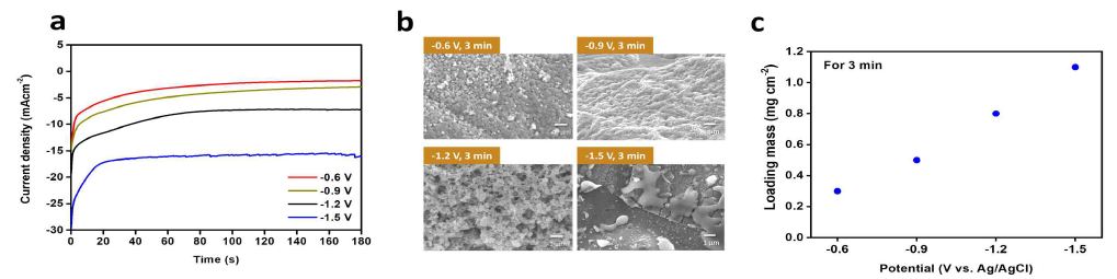 (a) chronoamperometry를 통한 Se 전극의 전해 증착; (b) 제조된 Se 전극의 SEM 이미지; (c) 전위에 따른 Se 로딩의 변화