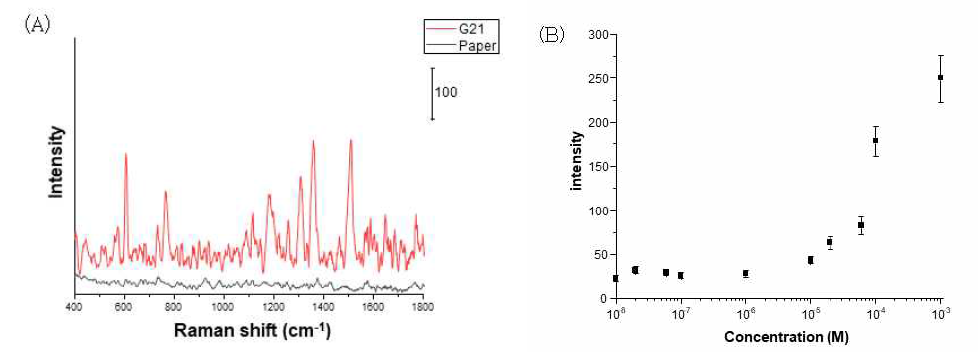 (A) 대조군 종이와 비교한 금속-키토산 나노 복합재료 종이의 SERS 신호, (B) 다양한 농도로 측정된 로다민 6G의 SERS 신호