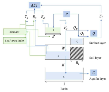 Schematic diagram of the proposed ecohydrologic model