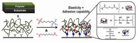 AS와 GDAF 이중 작용 가교제의 조합을 통한 유무기 탄성 하이브리도 소재 개념도