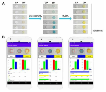 (A) Real images of the paper-analytical device (PAD) with various glucose concentrations (10 mM, 50 mM, 200 mM, 800 mM, 5 mM, and 10 mM). (B) Screenshots of the smartphone-integrated APP for analysis glucose level with different concentrations