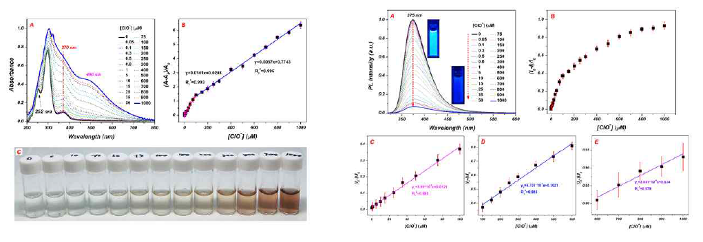 (A) UV-vis absorbance of GAAP-CDs in the presence of ClO- concentrations. (B) The relative absorbance [(A-A0)/A0] of GAAP-CDs at 370 nm vs. [ClO-]. (C) Photographs of GAAP-CDs in various concentrations of ClO- under visible light. Measurement conditions: [GAAP-CDs] = 0.19 mg/mL, pH = 7, and λex=310nm. Fig. 5. (A) Variation of the PL emission intensities of GAAP-CDs with the gradual addition of ClO-. Inset: photographs of GAAP-CDs in the absence and presence of 1 mM ClO- under 365 nm UV light (right). (B) Relative PL emission intensities [(I0-I)/I0] of GAAP-CDs vs [ClO-]. The linear relationships of the relative PL emission intensity vs. [ClO-] over (C) 0.1-100 mM, (D) 100-600 mM, and (E) 600-1000 mM, respectively. Measurement conditions: [GAAP-CDs] = 0.19 mg/mL, pH = 7, and λex=310nm