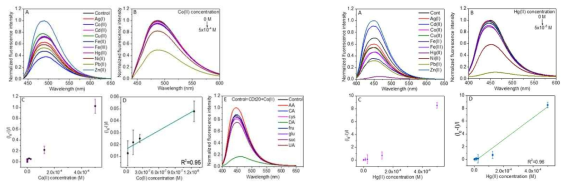 (왼쪽). (A) Fluorescence spectra of CDt20 in the presence of different metal ions. (B) Co(II) concentration-dependent fluorescence spectra of CDt20. (C) Relative fluorescence intensity vs. Co(II) concentration of CDt20-Co(II) system. (D) Linear relationship between the relative fluorescence intensity with respect to the concentration of Co(II). I0 and I are the fluorescence intensities of CDt1000 in the absence and presence of Co(II), respectively. (E) Effect of different biomolecules on the fluorescence spectra of the CDt20-Co(II) system. λex=390 nm. (오른쪽) (A) Fluorescence spectra of CDt1000 in the presence of different metal ions. (B) Hg(II) concentration-dependent fluorescence spectra of CDt1000. (C) Relative fluorescence intensity vs. Hg(II) concentration of CDt1000-Hg(II) system. (D) Linear relationship between relative fluorescence intensity with respect to the concentration of Hg(II). I0 and I are the fluorescence intensities of CDt1000 in the absence and presence of Hg(II), respectively. λex=360 nm. λex=360 nm