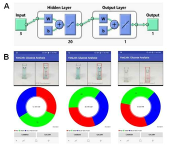 (A) Illustration of the neural network-based glucose analytical application. (B) Screenshots of the smartphone-integrated colorimetric glucose sensing at different glucose concentrations