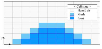 Example of cell classification in computational domain