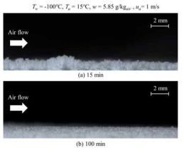 Frost formation of cryogenic condition