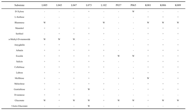 Carbohydrates utilization of candidates by API 50CHL kit