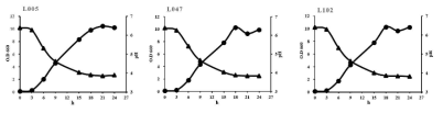 Cell growth curve