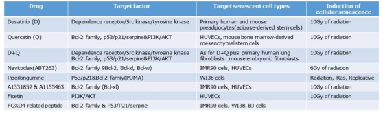 세포 조건에 따른 senolytic 효과 약물