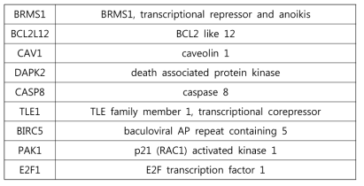 비노화 세포 대비노화 세포에서 감소하는 Anoikis 관련 유전자