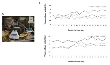 개발된 감염진단용 생체흡수성 금속의 가스생성을 30일동안 gas chromatography으로 정량분석