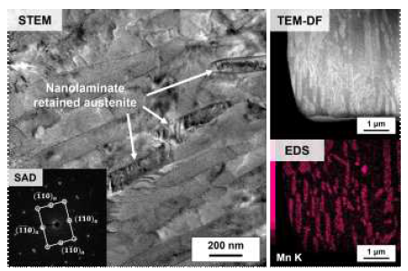 Al 첨가된 중망간강 시편의 TEM 분석 결과