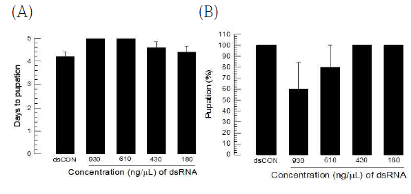 Effect of HSP90 RNAi on development