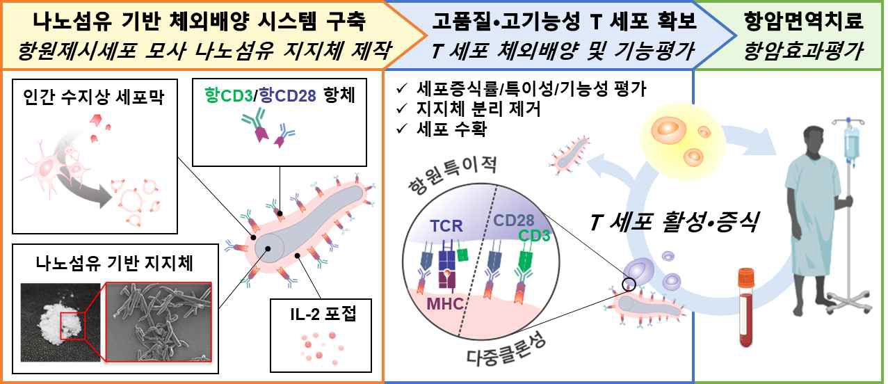 본 연구개발의 모식도