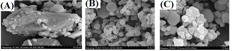 Scanning electron micrograph (×1000): (A), drug powder; (B), solid dispersion; (C), solid SNEDDS