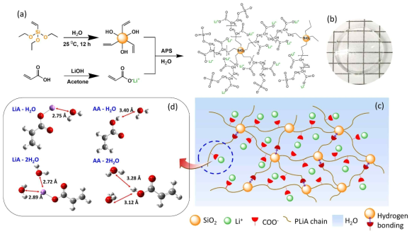 (a) 에너지 젤 전해질 합성 scheme; (b) 샘플 사진; (c) 전해질 schematic diagram; (d) DFT기반 H2O-COOH (PAA 시스템) & H2O-COO-Li+ (PLiA 시스템)의 최적화 구조 및 결합 에너지