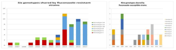 Clonal structure of fluconazole-resistant (FR) strains over 13 years (2006-2018). The results shows that clonal strains were frequently found in both fluconazole-susceptible (FS) and FR blood isolates of C. parapsilosis even in non-outbreak settings. Overall, FR strains, especially Y132F strains, are more likely to be clonally transmitted than FS isolates, which may explain the high rate of FR C. parapsilosis infection in hospitals