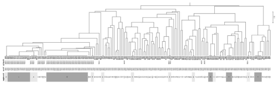 Dendrogram of genotypes of among 179 bloodstream isolates of C. parapsilosis recovered over 12 years (2006-2017). Genotype was determined by microsatellite typing using four specific microsatellite markers (CP1, CP4, CP6, and B5)