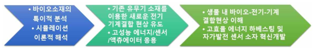 연구개발과제의 수행 과정 및 내용 도표