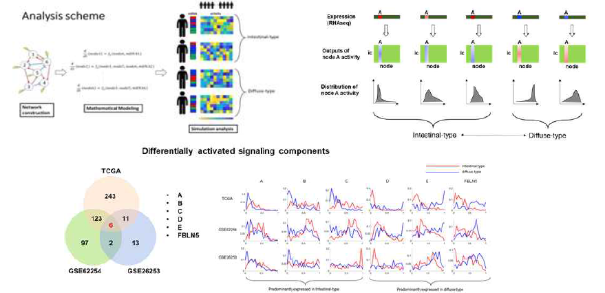 Differentially activated signaling components between intestinal and diffuse type gastric cancers